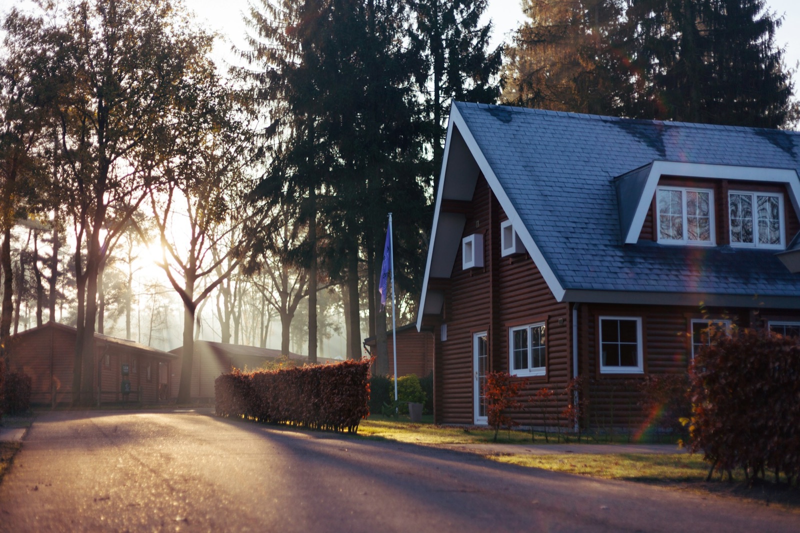 Country home at sunrise, morning mist through pines